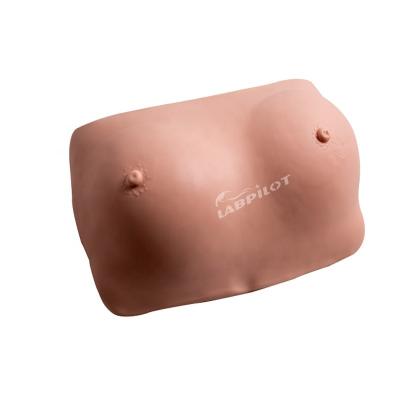 China Function Human Life Size Breast Examination Practice Simulator for Tumor Detection for sale