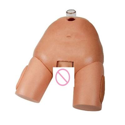 China PVC Female Urinary Puncture Operation Simulator for Catheterization Skills for sale