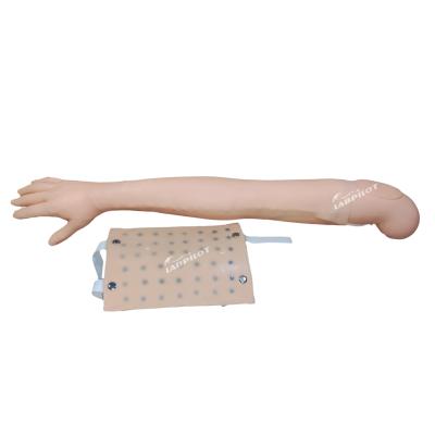 China Volle arm simulator Clinical Teaching voor intradermale injectie en venennecture praktijk Te koop