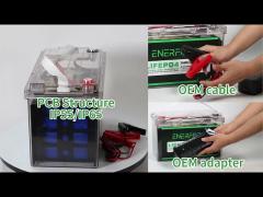 Enerforce OEM Lifepo4 battery pack 12v 24v