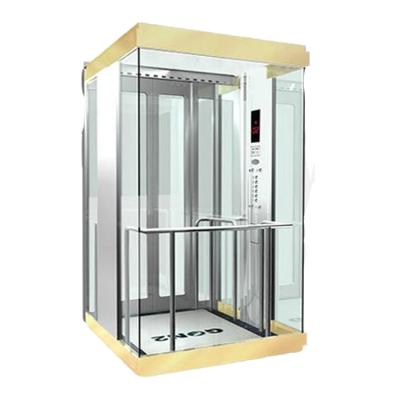 China Panoramic Passenger Elevator Customized Elevators Panoramic Glass Glazing Elevator Cabin for sale