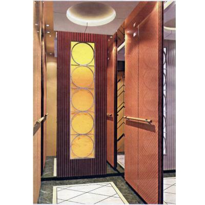 China Low Noise Elevator Home Chair Volkslift VVVF 10m Residential Lift For Disabled for sale