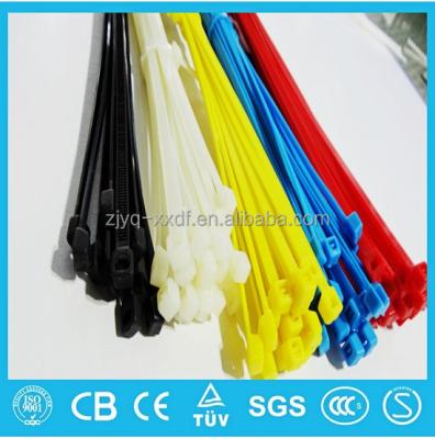 China Free sample nylon 4