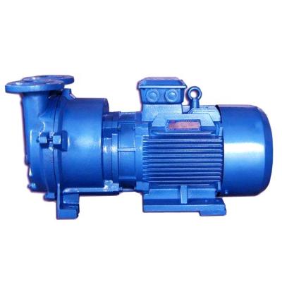 China Automotive industry 2BV 2BE liquid pump water ring vacuum pump air-compressors for sale