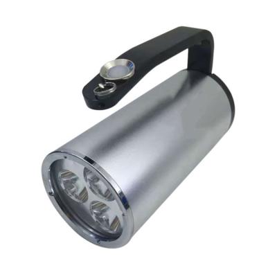 China Explosion Proof Explosion Proof Portable Hand Lamp Security Search Light Searchlight Lighting for sale