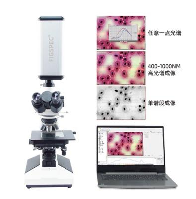 Cina Rilevazione che macchia il sistema Hyperspectral microscopico di rappresentazione con la lente & il microscopio in vendita