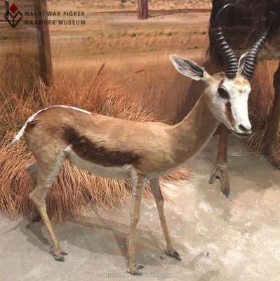 China China Life Size Statue Decoration Animal Deer Statue for sale