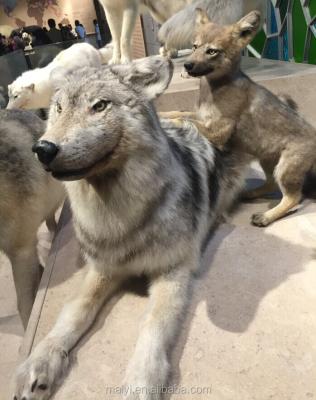 China Realistic Art Sculpture Of Life Size Wolf Statue With From Europe Good Quality for sale