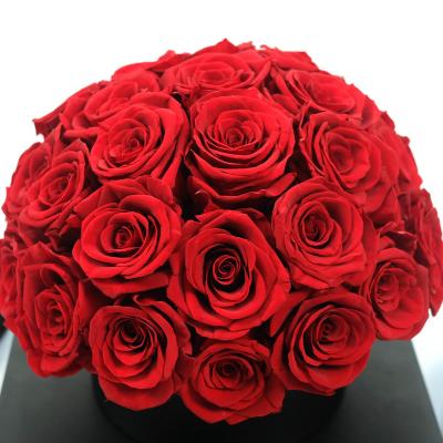 China 2021 hot sale durable valentines day gifts preserved set rose eternal rose dome shape box for valentines day gift valentines day for sale