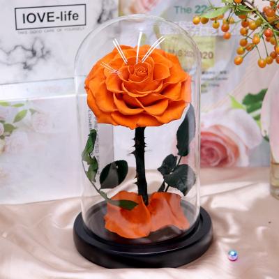 China Bithday Gift /Wedding /Home Decoration Valentines Day Gifts Flowers Real Preserved Flower Preserved Natural Preserved Rose In Glasss Dome for sale