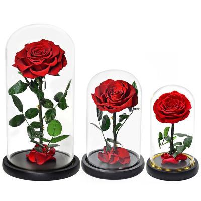 China Bithday Gift /Wedding /Home Decoration Ecuador DIY Roses Preserved Rose Head Real Eternal Decorative Forever Rose Preserved Flowers in Glass Dome for sale