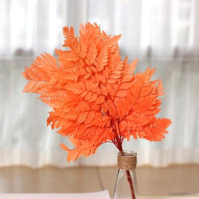 China Wholesale Durable Home Decor Preserved Flower Preserved Fern Leaves Dry Fern Preserved Leaf For Dried Flower Bouquet for sale