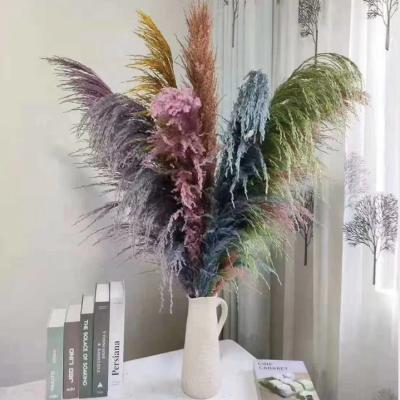 China Wholesale Pampas Grass 100cm Durable Extra Large Pampas Grass Dried Pampas Grass 150cm for sale