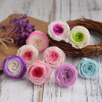 China Lasting Long Lasting Preserved Eternal Flowers David Austin Roses Rose Boutique Wedding Event Party Decoration for sale