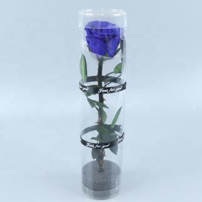 China Durable Wholesale Price Single Preserved Rose Flowers Real Long Touch Life Rose Stem Preserved Flowers for sale