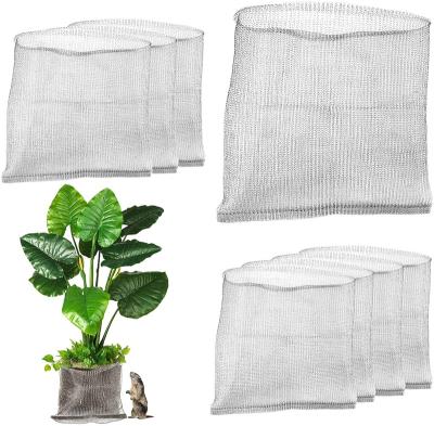 China Easy to install; Strong enough ; 5 Gallon Root Guard Speed ​​Baskets For Plants Control Gopher Basket For Efficient Planting for sale