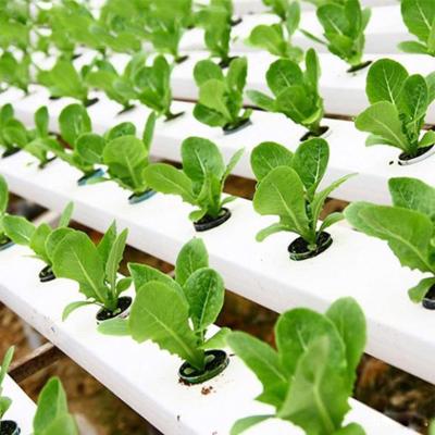 China 100x50mm and 100x80mm Plastic Extruding Hydroponic NFT Channel for Planting Vegetables for sale