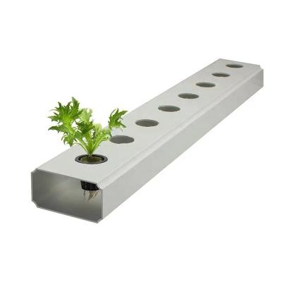 China 2 Meters PVC Pipe Hydroponic Channel for Growing Vegetables and Fruits in Greenhouses for sale