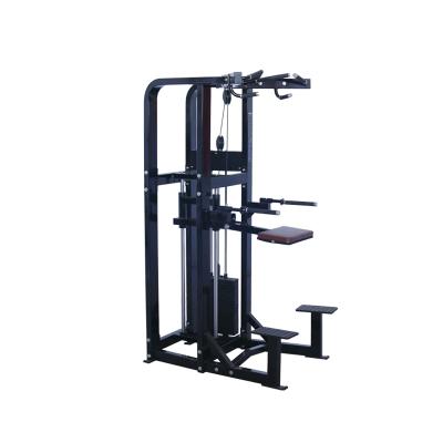 China Home Use China Gym Fitness Equipment Bodybuilding Strength Machine Immersion Chin WL608 for sale