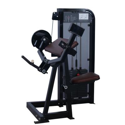 China High quality home use strength bodybuilding machine biceps curls for commercial gym fitness equipment WL600 for sale