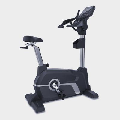 China Universal Commercial Straight Fit Bike Exercise Bike Home Use for sale