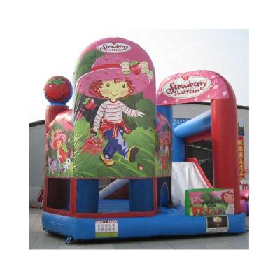 China Cheap Inflatable Commercial Bounce Castle Waterproof Flame Retardant UV Protector Frozen Bouncing Castle and Slide for Sale for sale