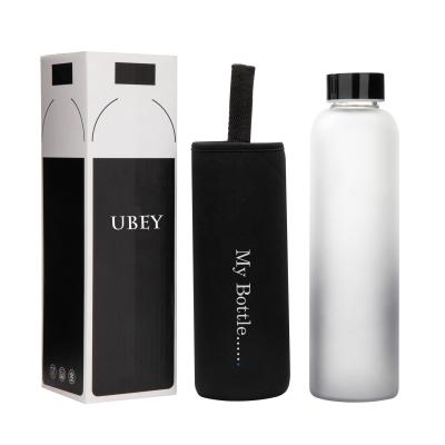 China Sustainable Brand Customized Portable Screw Lid Frosted Borosilicate Glass Water Bottle Recycled for sale