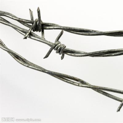 China Good Selling Modern Galvanized Traditional Twist 400m 500m Per 50kg Barbed Wire for sale