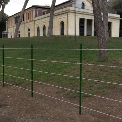 China Solid Cheap galvanized and pvc coated prison barbed wire fencing for sale for sale