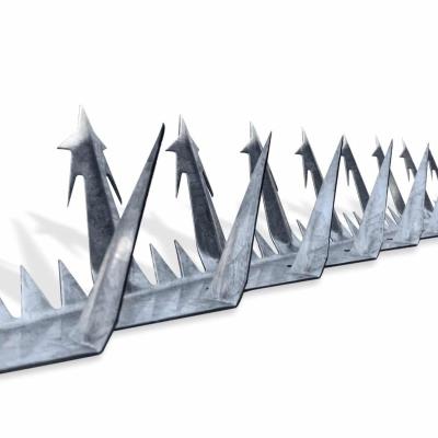 China Modern Anti Climb Spikes High Quality Wall Spikes Fence Security Bird Spike Hot Dipped Galvanized for sale