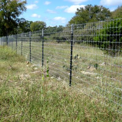 China Factory Supply Easily Assembled Steel Fence Post Farm T Post For America Market for sale