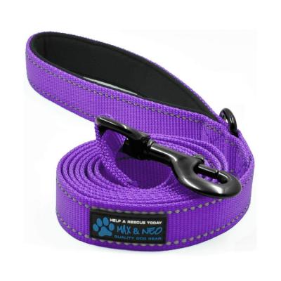 China A thoughtful high quality Chinese manufacturer customized hook-and-loop nylon pet traction leash with favorable price for sale