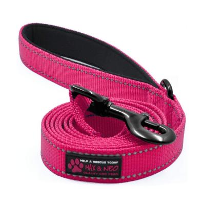 China Thoughtful Supplier of High Quality Hooks and Loops and Provide Customized Colorful Belts with Thoughtful Pet Leashes for sale