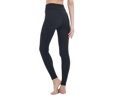 China Factory Outlet Fashion QUICK DRY Women's Fitness Elastic Waistband Yoga Stretch Pants for sale