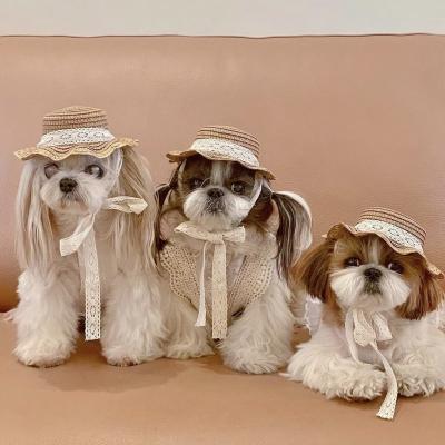 China Viable Korean Dog Hat Small Dog Cat Teddy Bear Sun Visor Hat For Dogs Easy To Use Pet Hats for sale