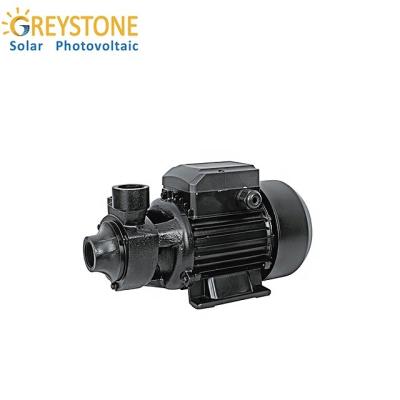 China Inbuilt Surface Water Pump Series DC Solar Surface Water With Controller DC Motor 12v-48v Solar Water Pumps for sale