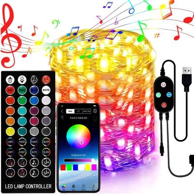 China Waterproof Copper Wire String Lights RGB USB LED Light Smart Phone App Control Copper Wire String Lamp With Outdoor for sale