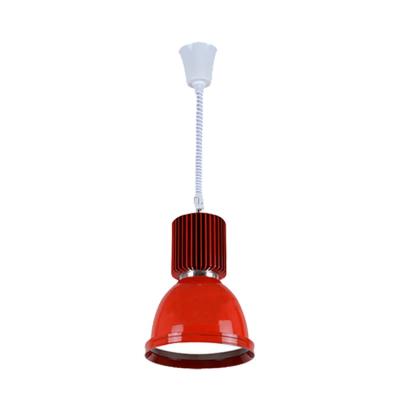 China Fruit Shop Commercial Led Supermarket Pendant Light Seafood Led Cool Light Led Shop Lighting Fixtures for sale