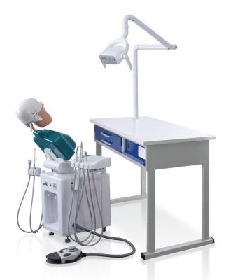 China Teaching Dental Phantom Head Dental Simulator For Training Practice For University Medical School for sale