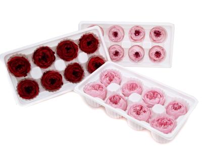 China Natural Roses Austin Rose Austin Factory Customized Preserved Roses For Mothers Day Gifts for sale