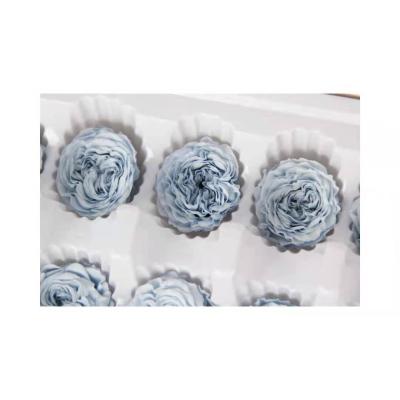 China Touch 10 Pcs Natural Chocolate Austin Rose Forever 3-4cm Blue Pane Roses Chocolate Roses Wedding Flowers for sale