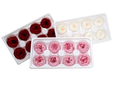 China Flower Floral Arrangements Valentine's Day Dried White Preserved Red Roses Box Natural Real Touch Rose Long Lasting Pink Austin Rose Heads for sale