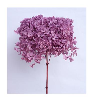 China Simple Events Decoration Anna Hydrangea Office Home Apartment Decoration Dried Small Stem Hydrangea Leaf for sale