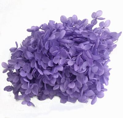 China High Quality Natural Dried Natural Dry Flower Wedding Wall Decor Flower Wood Hydrangea For Decoration for sale