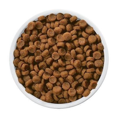 China Skin & Coat Health OEM ODM Homemade Cat Food Cat Treats Healthy Wholesale Dry Cat Food for sale