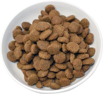 China Skin & Wet Coat Health OEM ODM Best Cat Food Cat Treats Dry Healthy Bulk Cat Food for sale