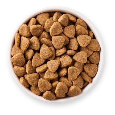 China Skin & Coat Health OEM ODM Cat Food Brands Cat Treats High Protein Low Fat Wholesale Dry Cat Food for sale