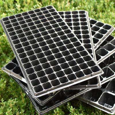 China High Quality Nursery Tray Float Tray Fruit Vegetable Seedling Plug Sowing Tray Factory for sale