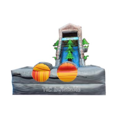 China Lane Fashionable Double Inflatable Slide Inflatable Slide Bouncers Jumping Castles Adult Size Inflatable Slide for sale