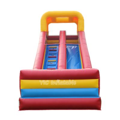 China Fashionable Dolphin Inflatable Slide Bounce House Inflatable Water Slide Tube Conveyor For Water Slide for sale